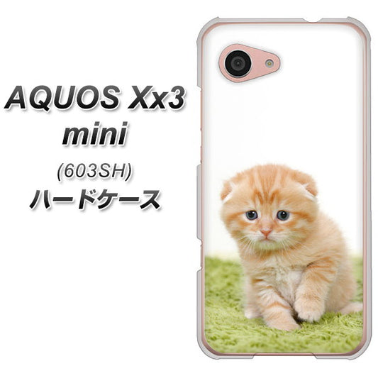 SoftBank アクオス Xx3 mini 603SH 高画質仕上げ 背面印刷 ハードケース【VA802 ネコこっそり】