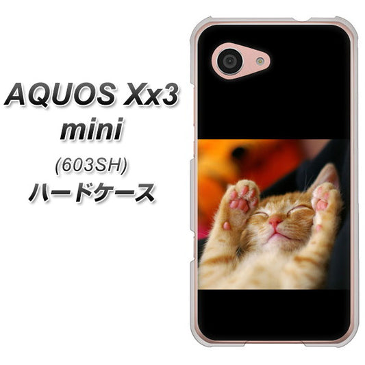 SoftBank アクオス Xx3 mini 603SH 高画質仕上げ 背面印刷 ハードケース【VA804 爆睡するネコ】