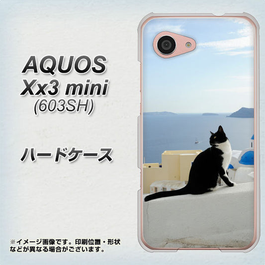 SoftBank アクオス Xx3 mini 603SH 高画質仕上げ 背面印刷 ハードケース【VA805 ネコと地中海】