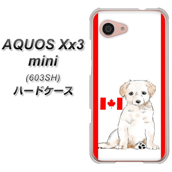 SoftBank アクオス Xx3 mini 603SH 高画質仕上げ 背面印刷 ハードケース【YD824 ラブラドールレトリバー05】