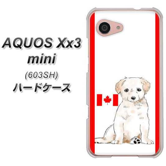SoftBank アクオス Xx3 mini 603SH 高画質仕上げ 背面印刷 ハードケース【YD824 ラブラドールレトリバー05】