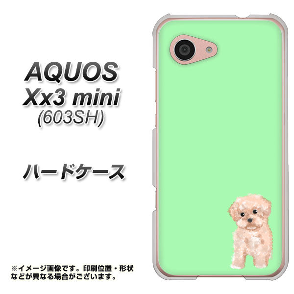 SoftBank アクオス Xx3 mini 603SH 高画質仕上げ 背面印刷 ハードケース【YJ063 トイプードルアプリコット(グリーン)】