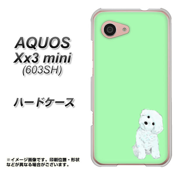 SoftBank アクオス Xx3 mini 603SH 高画質仕上げ 背面印刷 ハードケース【YJ071 トイプードルホワイト(グリーン)】