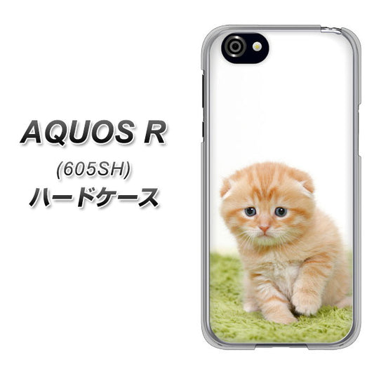 AQUOS R 605SH SoftBank VA802 ネコこっそり ハードケース 背面印刷