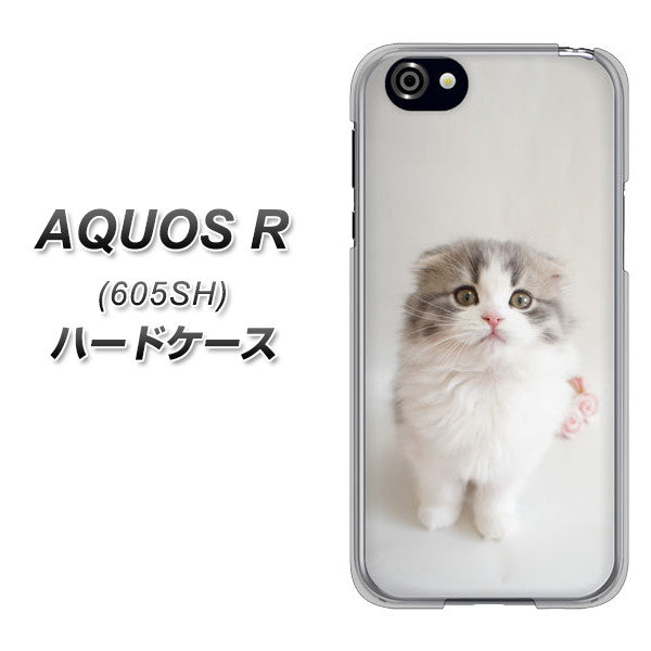 SoftBank アクオスR 605SH 高画質仕上げ 背面印刷 ハードケース【VA803 まっていますネコ】