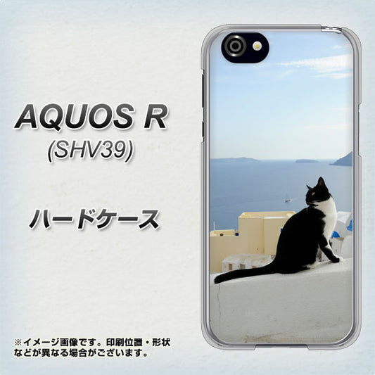 AQUOS R 605SH SoftBank VA805 ネコと地中海 ハードケース 背面印刷