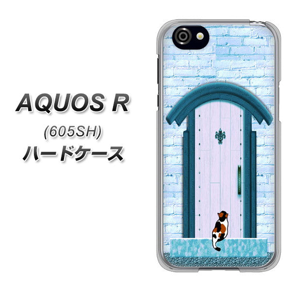 SoftBank アクオスR 605SH 高画質仕上げ 背面印刷 ハードケース【YA953 石ドア03 素材クリア】