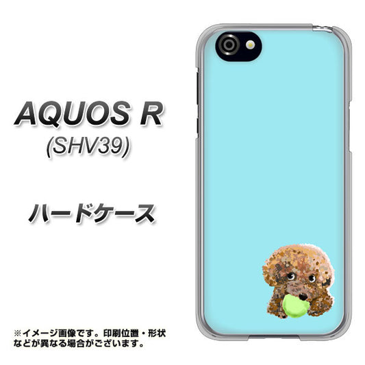 SoftBank アクオスR 605SH 高画質仕上げ 背面印刷 ハードケース【YJ054 トイプードル&ボール(ブルー)】