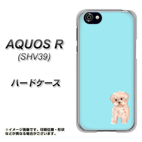 SoftBank アクオスR 605SH 高画質仕上げ 背面印刷 ハードケース【YJ062 トイプードルアプリコット(ブルー)】