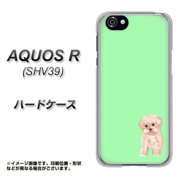SoftBank アクオスR 605SH 高画質仕上げ 背面印刷 ハードケース【YJ063 トイプードルアプリコット(グリーン)】