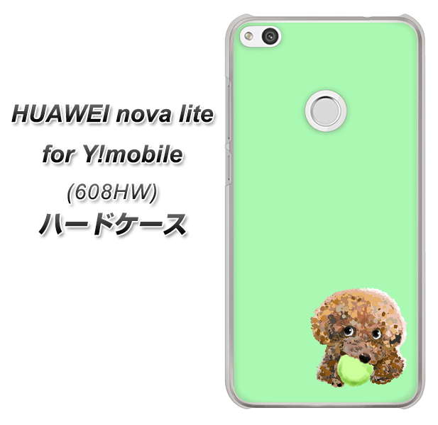 HUAWEI nova lite for Y!mobile 608HW 高画質仕上げ 背面印刷 ハードケース【YJ055 トイプードル&ボール(グリーン)】
