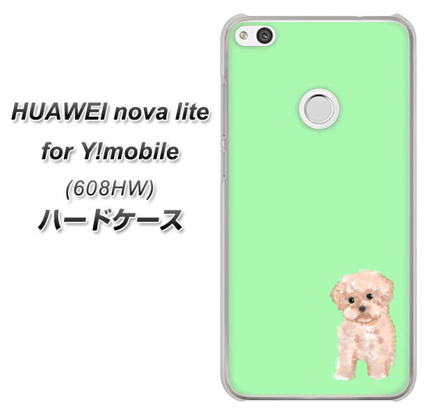 HUAWEI nova lite for Y!mobile 608HW 高画質仕上げ 背面印刷 ハードケース【YJ063 トイプードルアプリコット(グリーン)】