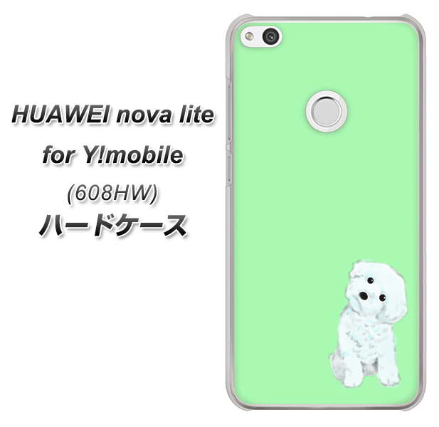 HUAWEI nova lite for Y!mobile 608HW 高画質仕上げ 背面印刷 ハードケース【YJ071 トイプードルホワイト(グリーン)】