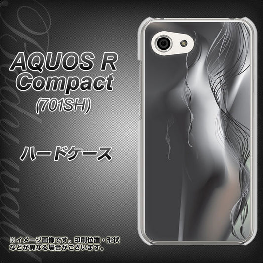 Softbank アクオスR コンパクト 701SH 高画質仕上げ 背面印刷 ハードケース【566 ボディウォール】
