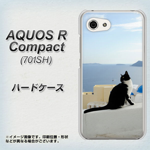 Softbank アクオスR コンパクト 701SH 高画質仕上げ 背面印刷 ハードケース【VA805 ネコと地中海】