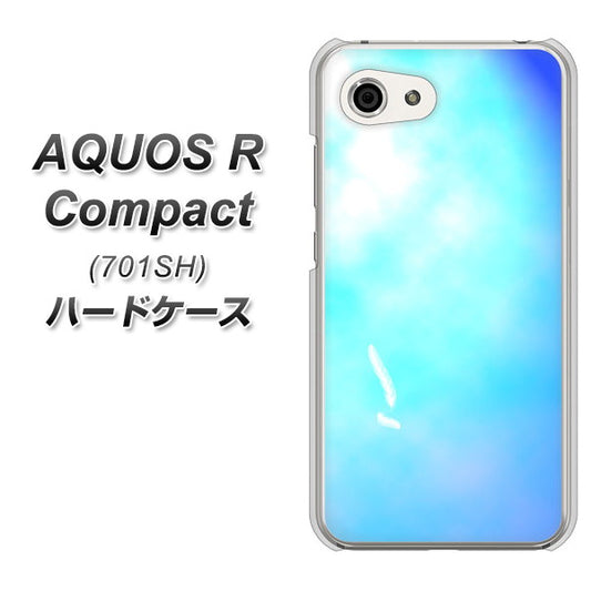 Softbank アクオスR コンパクト 701SH 高画質仕上げ 背面印刷 ハードケース【YJ291 デザイン 光】