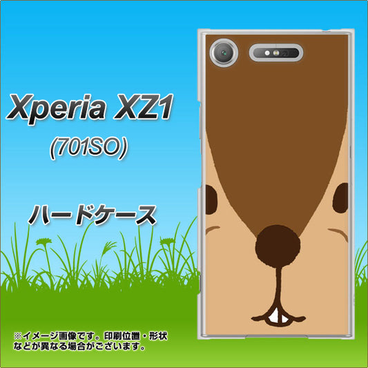 SoftBank エクスペリア XZ1 701SO 高画質仕上げ 背面印刷 ハードケース【349 りす】