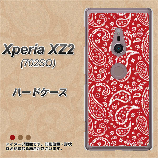SoftBank エクスペリア XZ2 702SO 高画質仕上げ 背面印刷 ハードケース【765 ペイズリーエンジ】