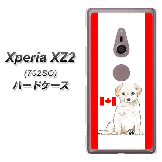 SoftBank エクスペリア XZ2 702SO 高画質仕上げ 背面印刷 ハードケース【YD824 ラブラドールレトリバー05】