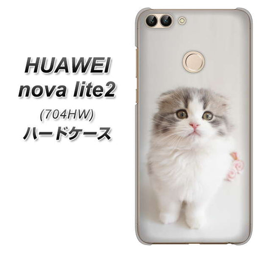 SoftBank HUAWEI nova lite 2 704HW 高画質仕上げ 背面印刷 ハードケース【VA803 まっていますネコ】