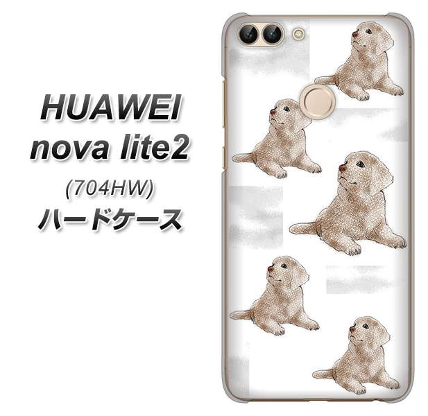 SoftBank HUAWEI nova lite 2 704HW 高画質仕上げ 背面印刷 ハードケース【YD823 ラブラドールレトリバー04】
