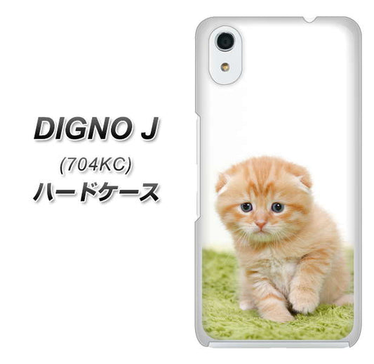 SoftBank ディグノ ジェイ 704KC 高画質仕上げ 背面印刷 ハードケース【VA802 ネコこっそり】
