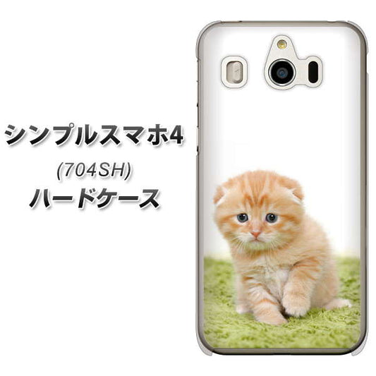SoftBank シンプルスマホ4 704SH 高画質仕上げ 背面印刷 ハードケース【VA802 ネコこっそり】