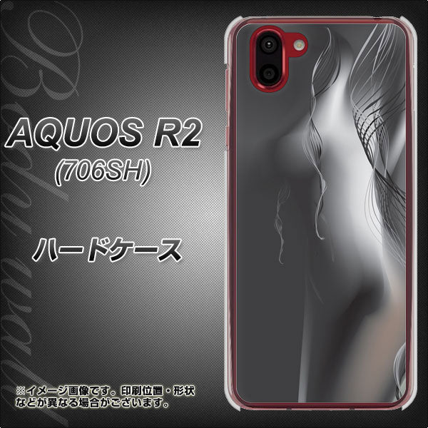 softbank アクオス R2 706SH 高画質仕上げ 背面印刷 ハードケース【566 ボディウォール】