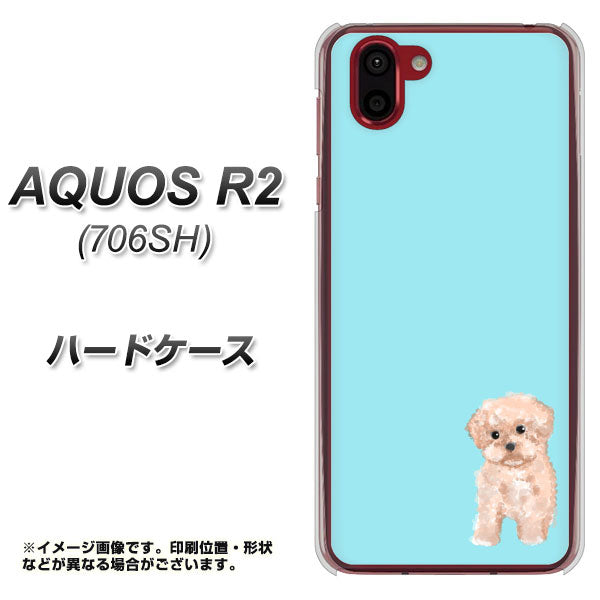 softbank アクオス R2 706SH 高画質仕上げ 背面印刷 ハードケース【YJ062 トイプードルアプリコット(ブルー)】