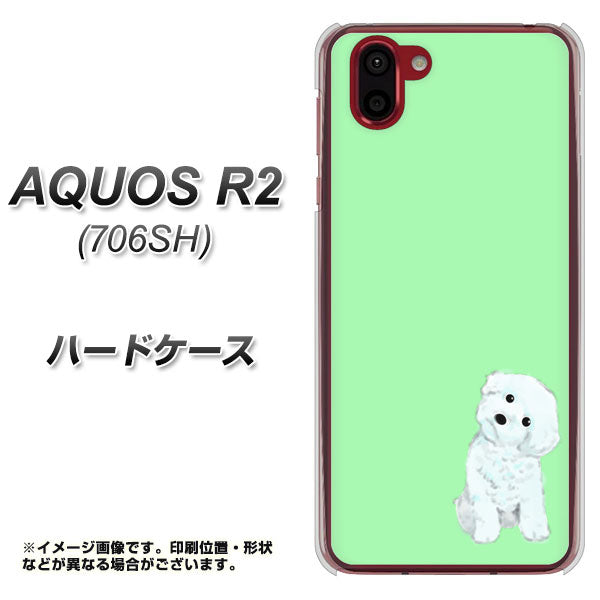softbank アクオス R2 706SH 高画質仕上げ 背面印刷 ハードケース【YJ071 トイプードルホワイト(グリーン)】