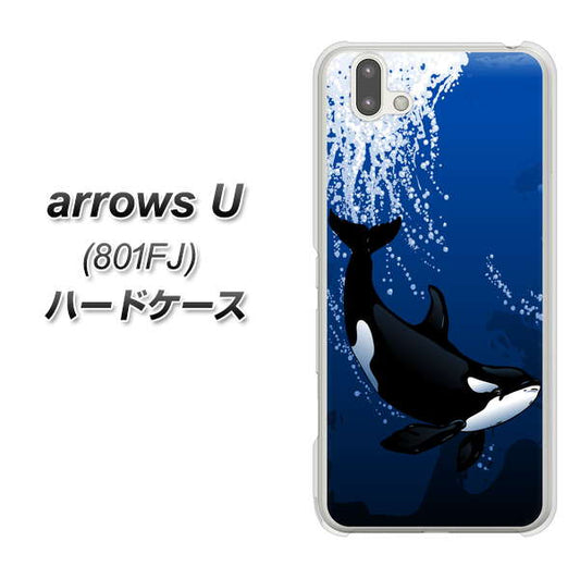 softbank arrows U 801FJ 高画質仕上げ 背面印刷 ハードケース【423 シャチ】