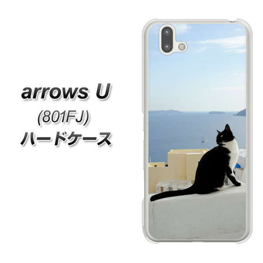 softbank arrows U 801FJ 高画質仕上げ 背面印刷 ハードケース【VA805 ネコと地中海】