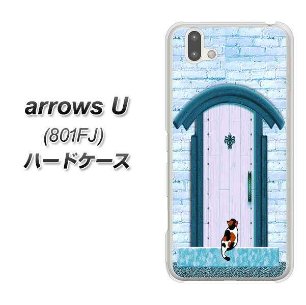 softbank arrows U 801FJ 高画質仕上げ 背面印刷 ハードケース【YA953 石ドア03 素材クリア】