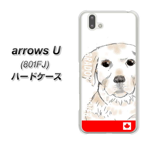 softbank arrows U 801FJ 高画質仕上げ 背面印刷 ハードケース【YD821 ラブラドールレトリバー02】