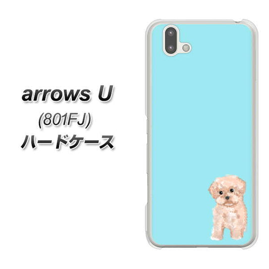 softbank arrows U 801FJ 高画質仕上げ 背面印刷 ハードケース【YJ062 トイプードルアプリコット(ブルー)】