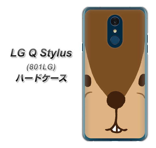 Y!mobile LG Q Stylus 801LG 高画質仕上げ 背面印刷 ハードケース【349 りす】
