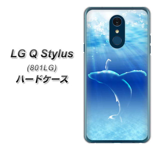 Y!mobile LG Q Stylus 801LG 高画質仕上げ 背面印刷 ハードケース【1047 海の守り神くじら】