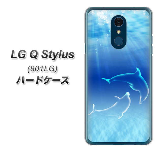 Y!mobile LG Q Stylus 801LG 高画質仕上げ 背面印刷 ハードケース【1048 海の守り神イルカ】