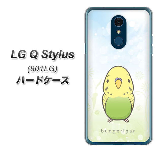 Y!mobile LG Q Stylus 801LG 高画質仕上げ 背面印刷 ハードケース【SC838 セキセイインコ グリーン】