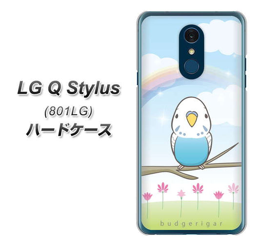 Y!mobile LG Q Stylus 801LG 高画質仕上げ 背面印刷 ハードケース【SC839 セキセイインコ ブルー】