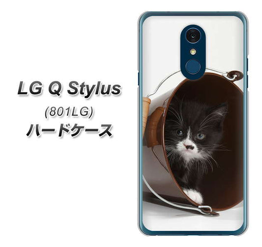 Y!mobile LG Q Stylus 801LG 高画質仕上げ 背面印刷 ハードケース【VA800 ネコとバケツ】