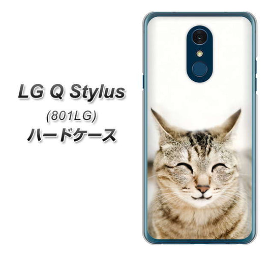 Y!mobile LG Q Stylus 801LG 高画質仕上げ 背面印刷 ハードケース【VA801 笑福ねこ】