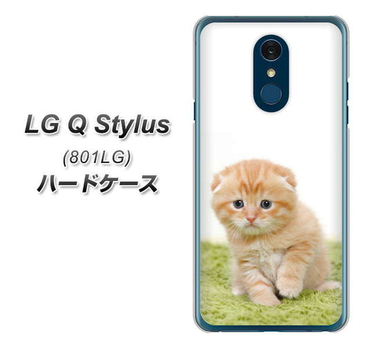 Y!mobile LG Q Stylus 801LG 高画質仕上げ 背面印刷 ハードケース【VA802 ネコこっそり】