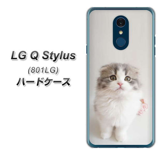 Y!mobile LG Q Stylus 801LG 高画質仕上げ 背面印刷 ハードケース【VA803 まっていますネコ】