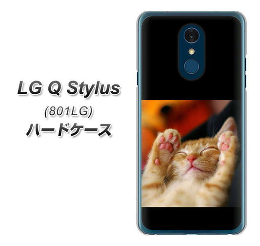 Y!mobile LG Q Stylus 801LG 高画質仕上げ 背面印刷 ハードケース【VA804 爆睡するネコ】