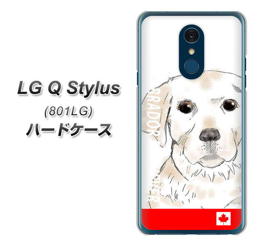 Y!mobile LG Q Stylus 801LG 高画質仕上げ 背面印刷 ハードケース【YD821 ラブラドールレトリバー02】