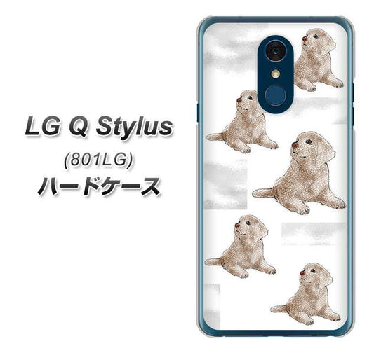 Y!mobile LG Q Stylus 801LG 高画質仕上げ 背面印刷 ハードケース【YD823 ラブラドールレトリバー04】