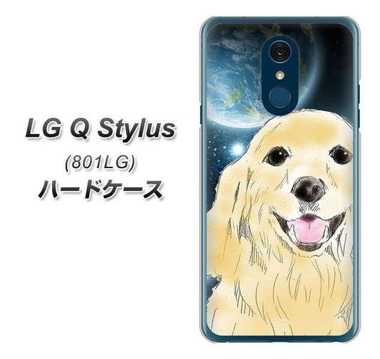 Y!mobile LG Q Stylus 801LG 高画質仕上げ 背面印刷 ハードケース【YD826 ゴールデンレトリバー02】
