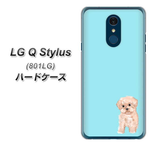 Y!mobile LG Q Stylus 801LG 高画質仕上げ 背面印刷 ハードケース【YJ062 トイプードルアプリコット（ブルー）】