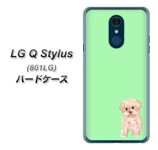 Y!mobile LG Q Stylus 801LG 高画質仕上げ 背面印刷 ハードケース【YJ063 トイプードルアプリコット（グリーン）】